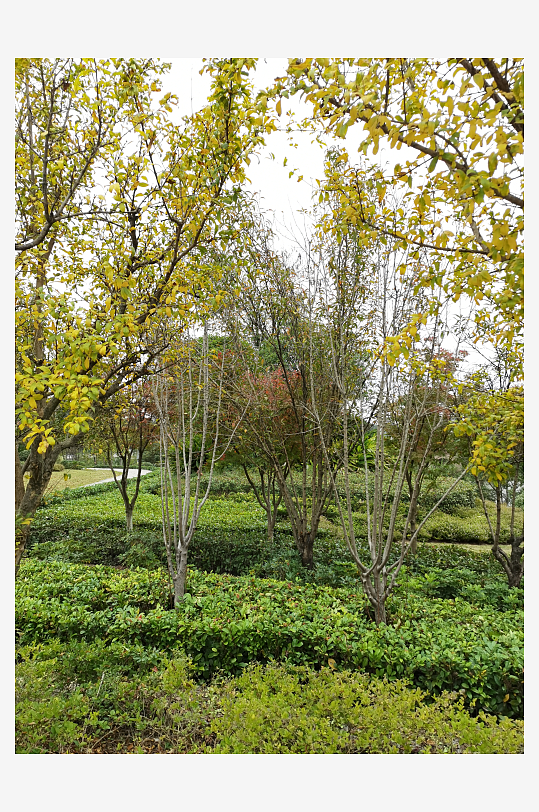 清新自然的生活公园-众图网