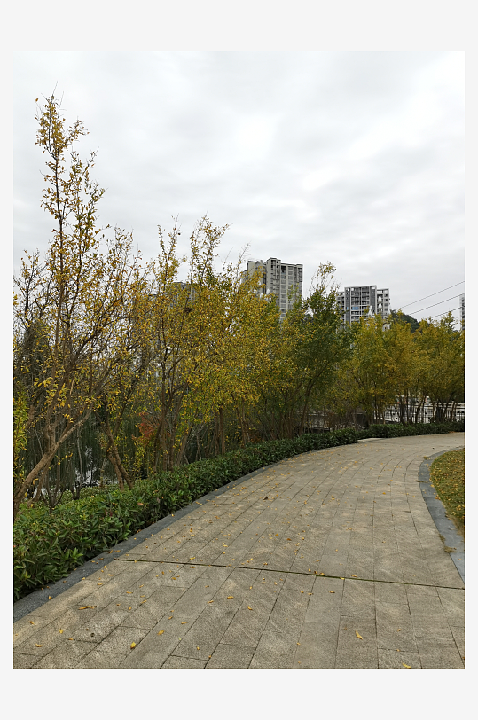 清新自然的生活公园-众图网