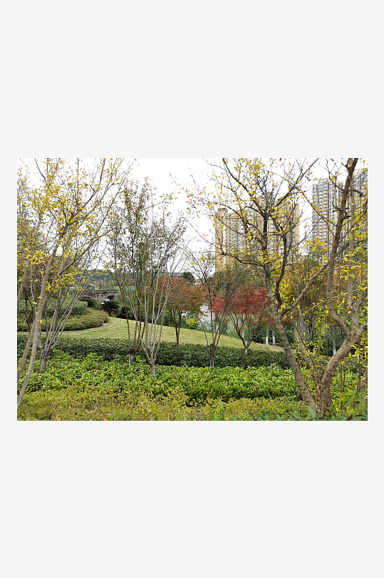 清新舒适的生活公园-众图网