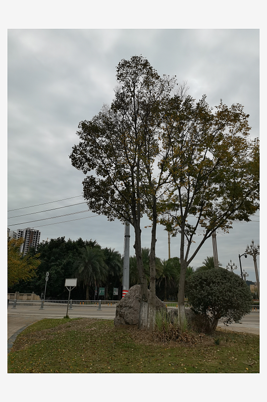 清新舒适的生活公园-众图网