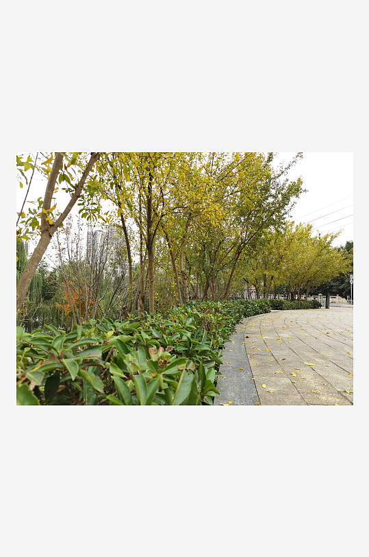 清新舒适的生活公园-众图网