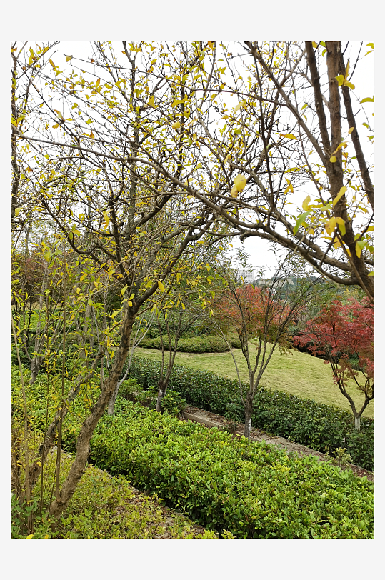 清新舒适的生活公园-众图网