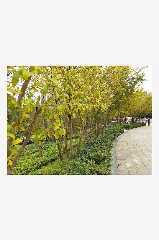 清新舒适的生活公园-众图网