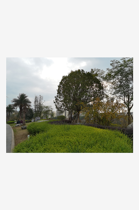 清新舒适的生活公园-众图网