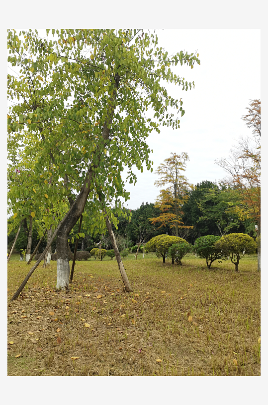 清新舒适的生态公园-众图网