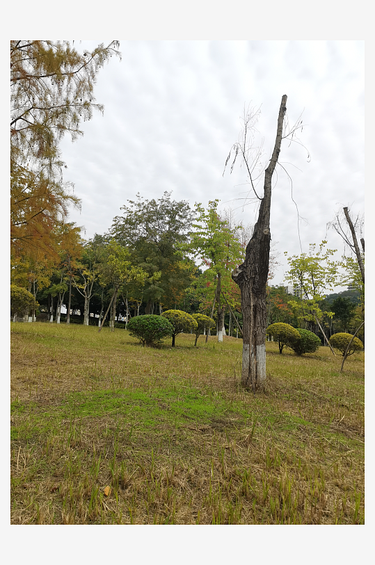 清新舒适的生态公园-众图网