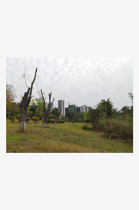 清新舒适的生态公园-众图网