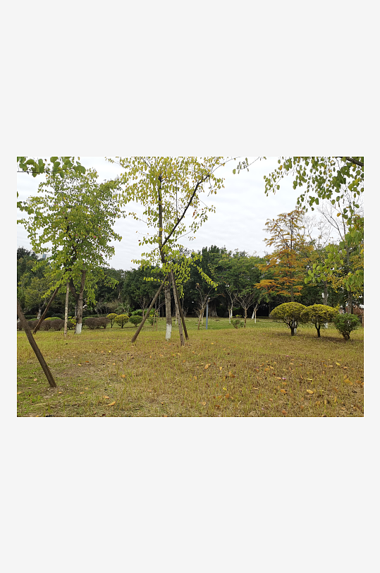 清新舒适的生态公园-众图网