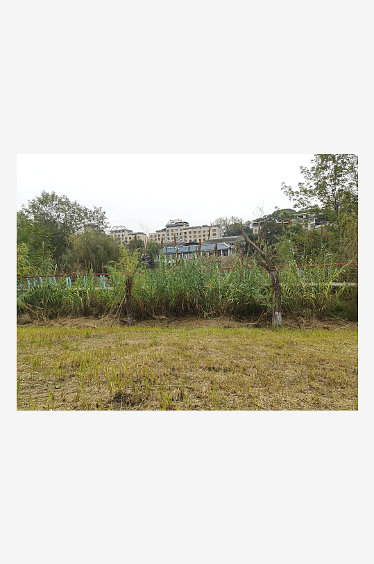 清新舒适的生态公园-众图网