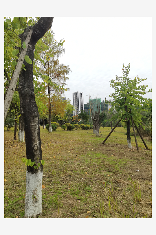 清新自然的生态公园-众图网