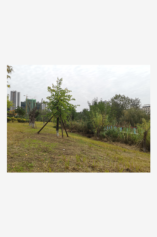 清新自然的生态公园-众图网