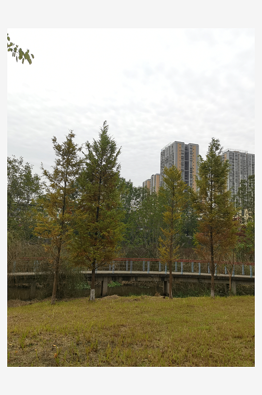 清新自然的生态公园-众图网