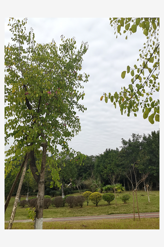 清新自然的生态公园-众图网