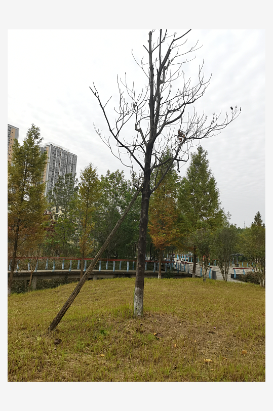 清新自然的生态公园-众图网