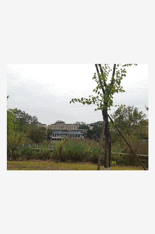 清新自然的生态公园-众图网