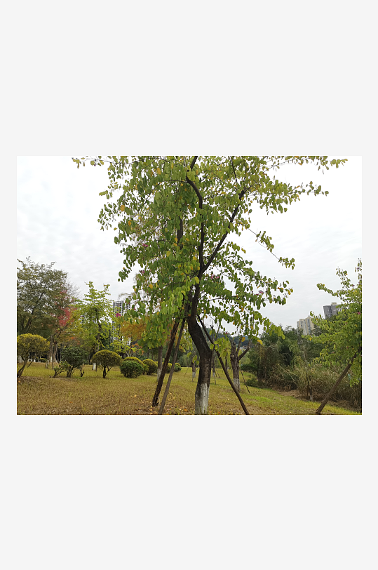 清新自然的生态公园-众图网