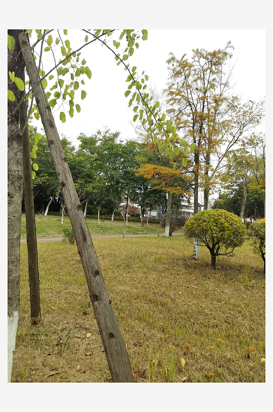 清新自然的生态公园-众图网