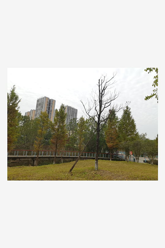 清新自然的生态公园-众图网