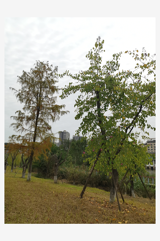 清新自然的休闲公园-众图网