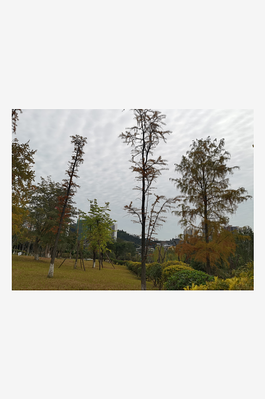 清新自然的休闲公园-众图网