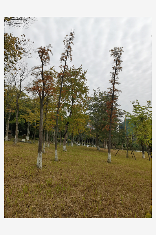 清新自然的休闲公园-众图网