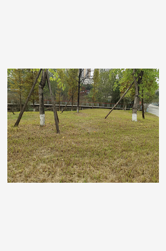 清新自然的休闲公园-众图网