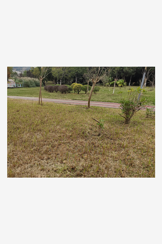 清新自然的休闲公园-众图网