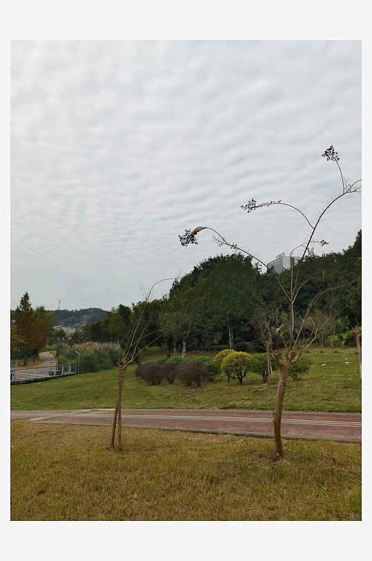 清新自然的休闲公园-众图网