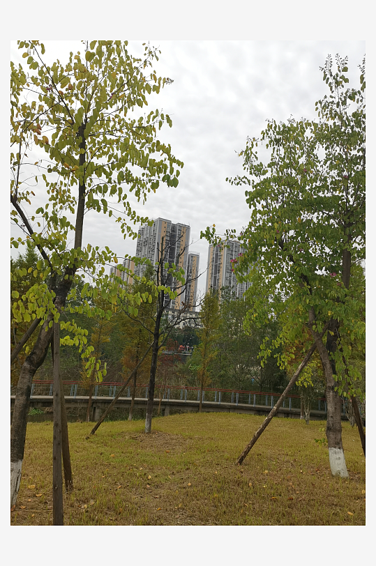 清新自然的休闲公园-众图网