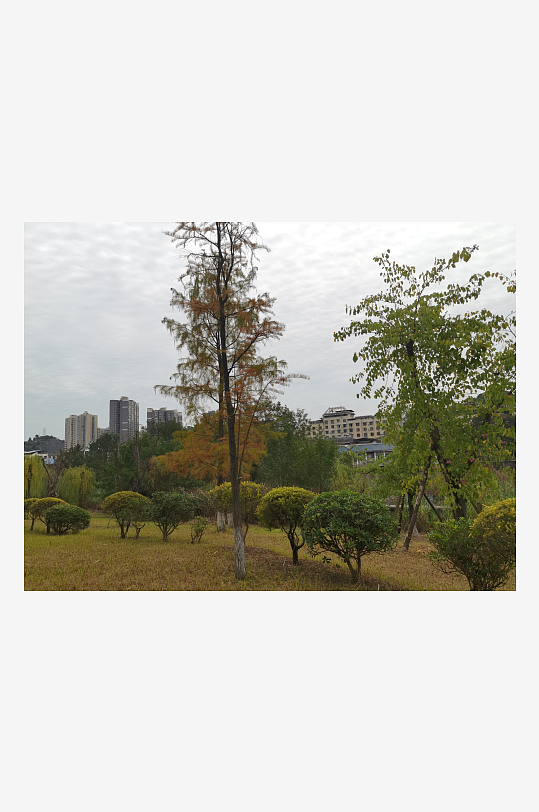 清新自然的休闲公园-众图网