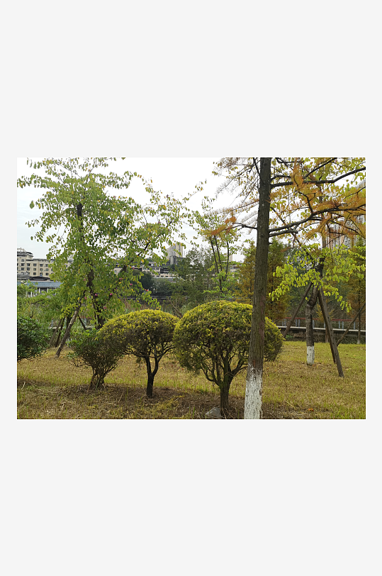 清新自然的休闲公园-众图网