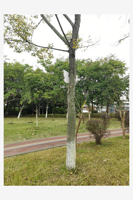 清新自然的休闲公园-众图网