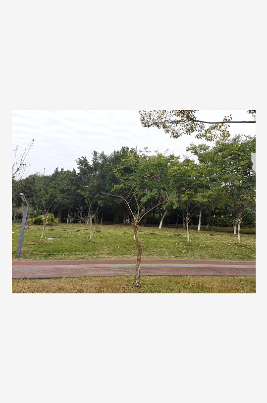 清新自然的休闲公园-众图网