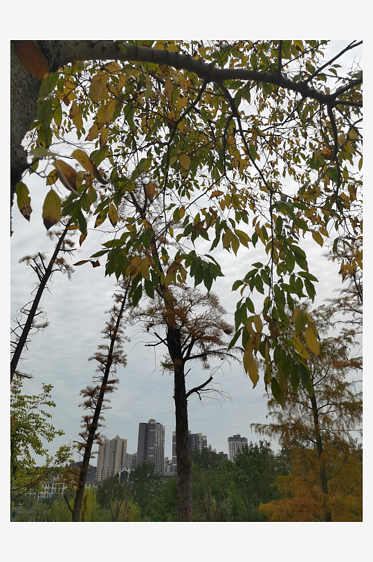 清新自然的休闲公园-众图网