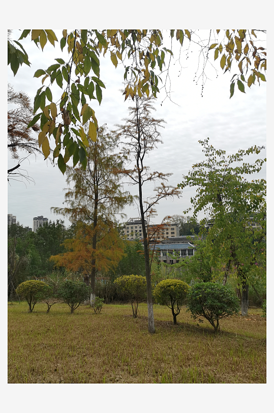 清新自然的休闲公园-众图网