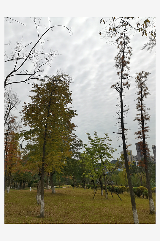 生态自然的休闲公园-众图网