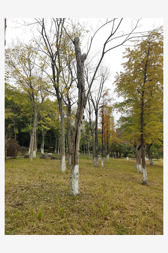 生态自然的休闲公园-众图网