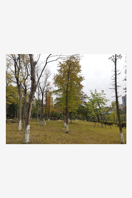 生态自然的休闲公园-众图网