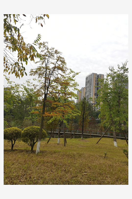 生态自然的休闲公园-众图网