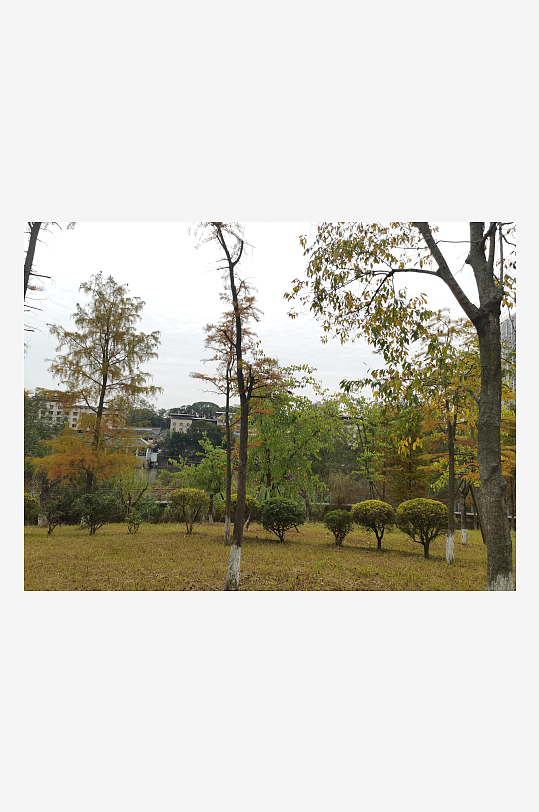 生态自然的休闲公园-众图网