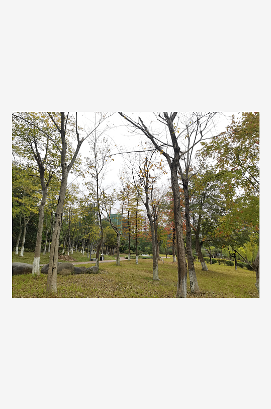 生态自然的休闲公园-众图网