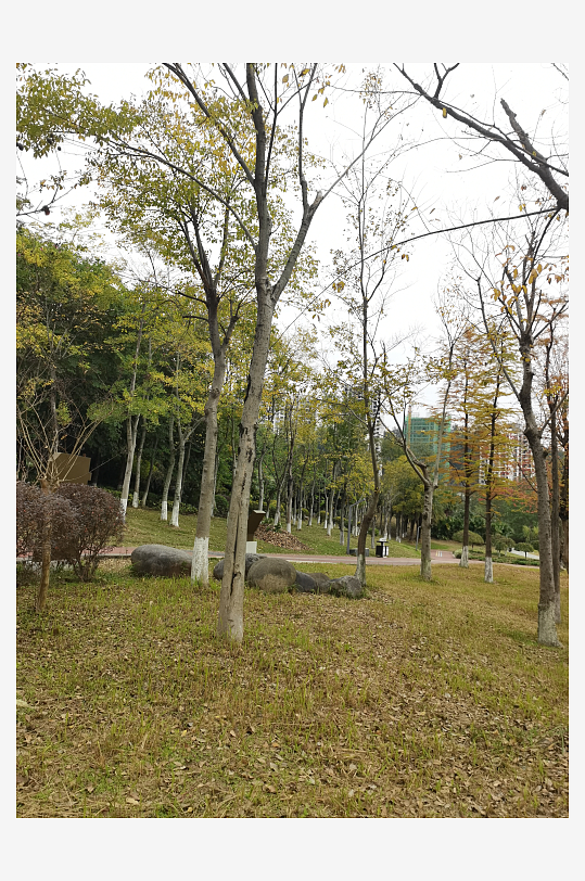 生态自然的休闲公园-众图网