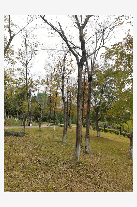 生态自然的休闲公园-众图网