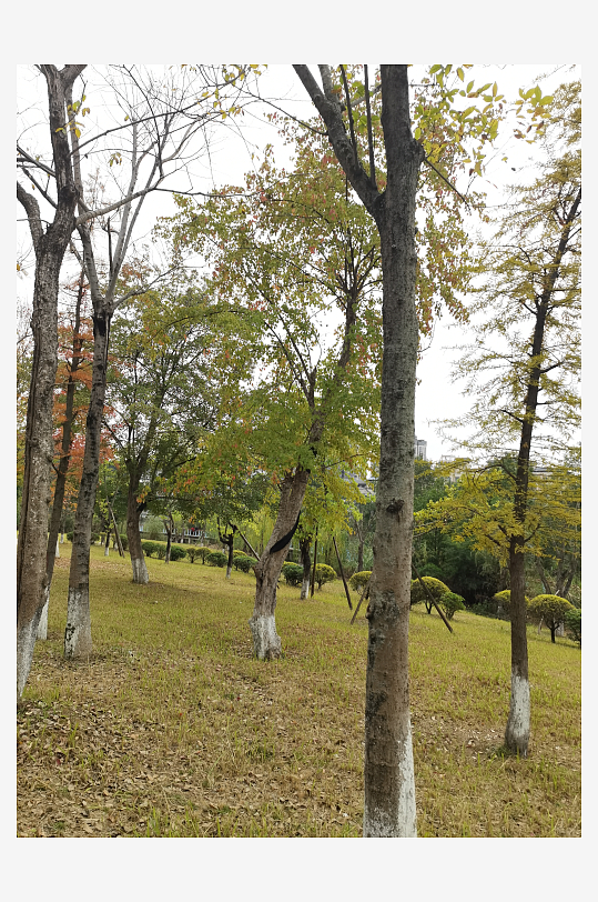 生态自然的休闲公园-众图网