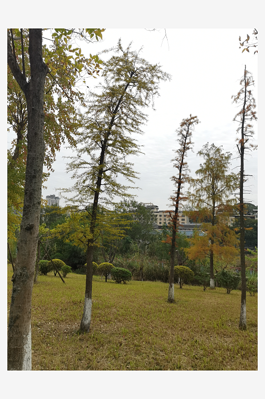 生态自然的休闲公园-众图网