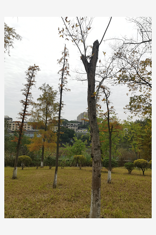 生态自然的休闲公园-众图网