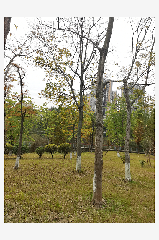 生态自然的公园环境-众图网