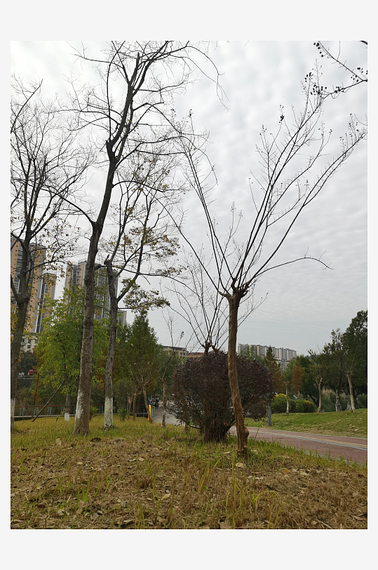 生态自然的公园环境-众图网