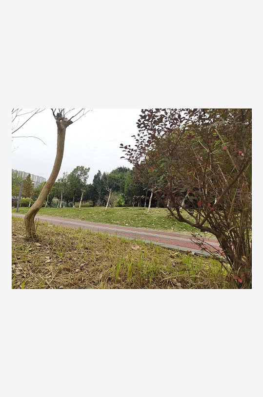 生态自然的公园环境-众图网