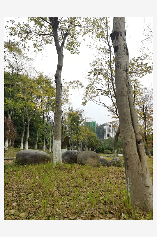 生态自然的公园环境-众图网